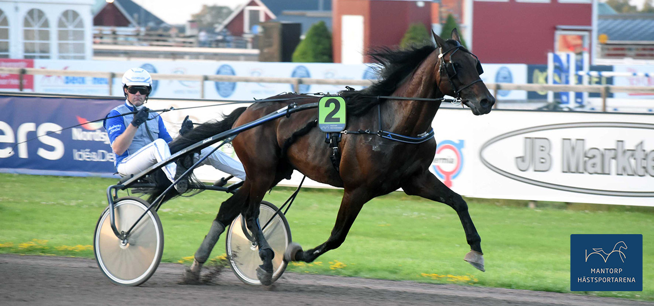Den norskfödde segermaskinen Night Hawk tog sin sjätte seger i hans åttonde start i karriären. Andreas Lövdal tränar och körde hästen till seger i Jörgen Axéns Minne. Foto: Magnus Strömsten. En kommande stjärna!