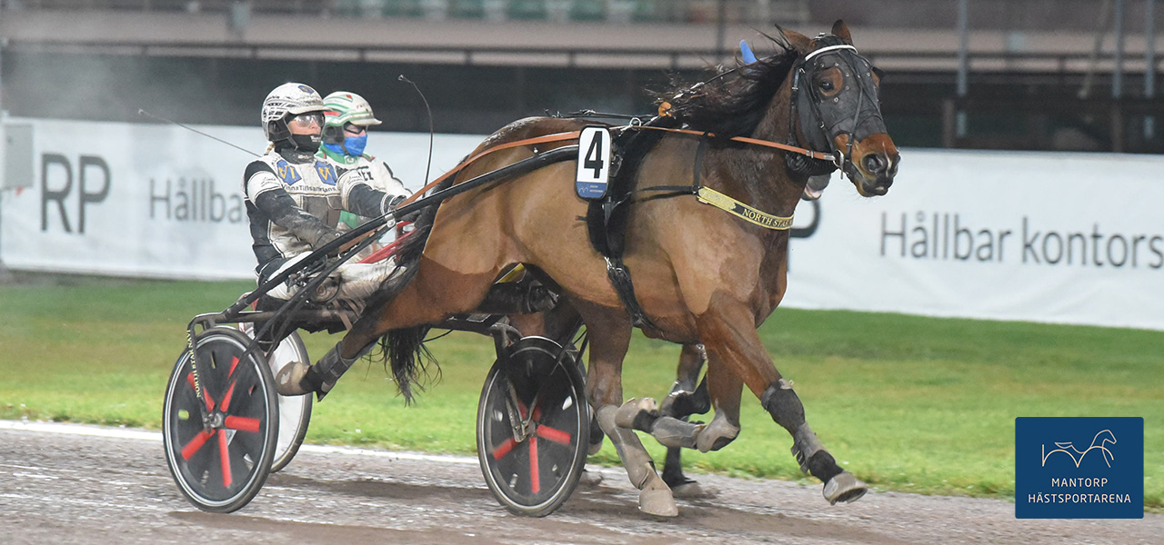 Micael Stjernström-tränade North Star Navi var en av två hästar som Linda Sedström segrade med. Systern Anna tog en seger också. Foto: Magnus Strömsten. Trippel för systrar
