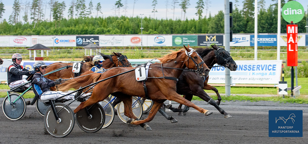 Fuxen Peach fick sträcka ut sista biten på Tingsryds långa upplopp och hann precis förbi täthästarna, till seger på nya rekordet 1.12,7a/1609 m. Foto: Gert Andersson. Peach tillbaka hos Dahl - med seger!