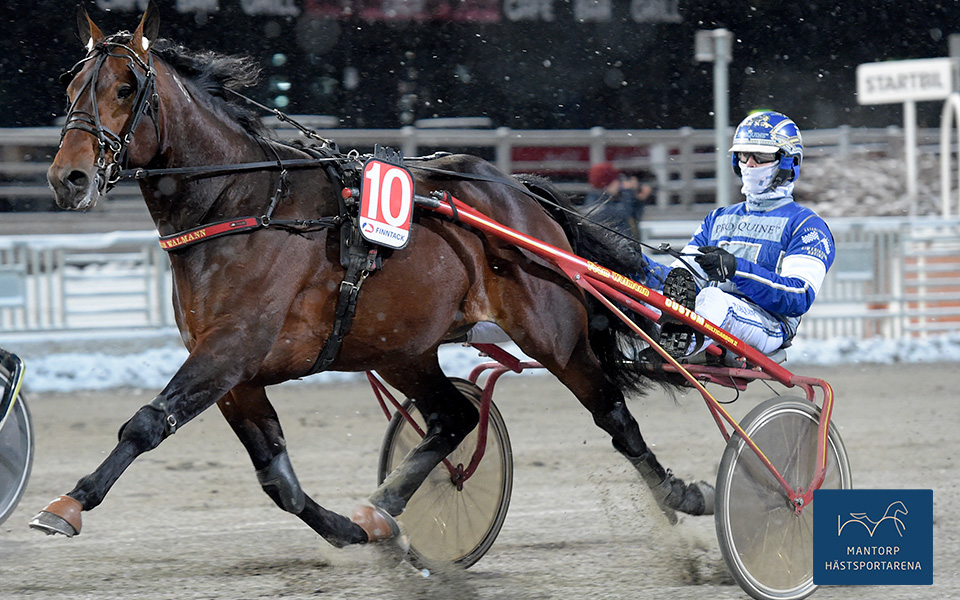 Segrar och föryngringar i stallet