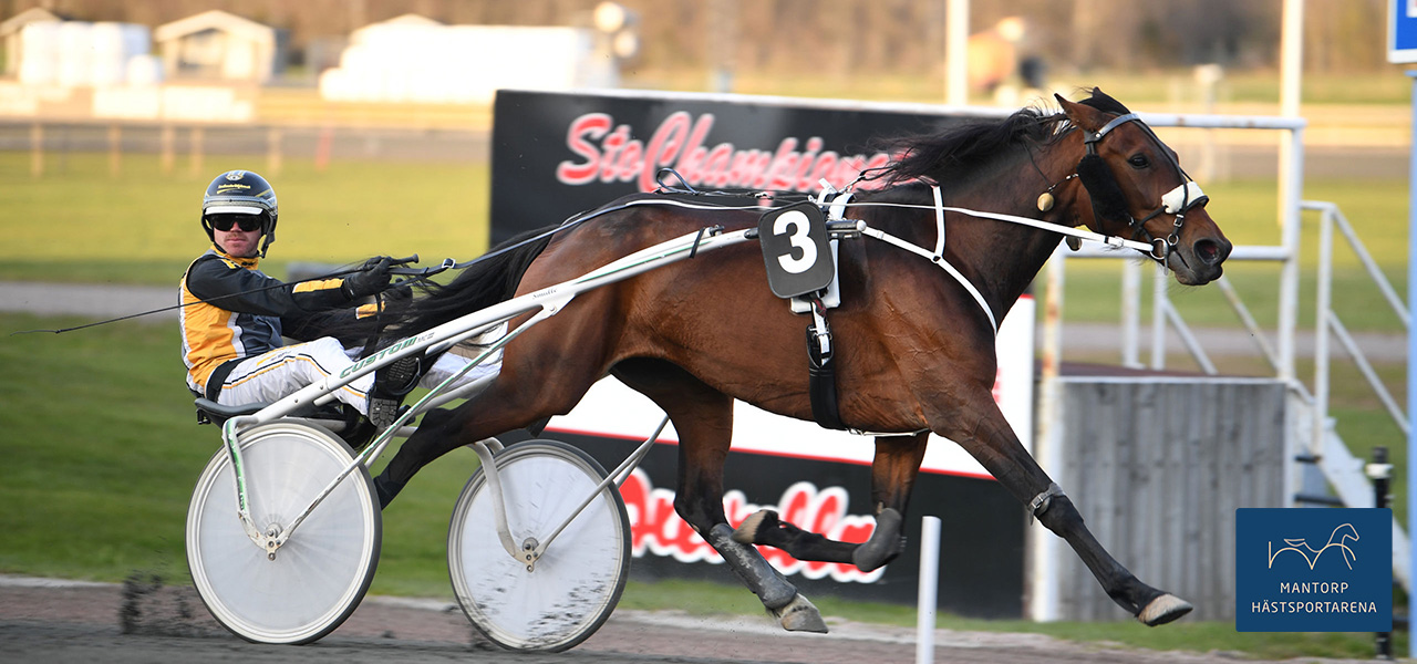 T.Wall's Karma och Jonathan Bardun skar mållinjen på Axevalla som etta på km.tiden 1.14,4a/2140 m. Foto: MVA Foto 0703974385.