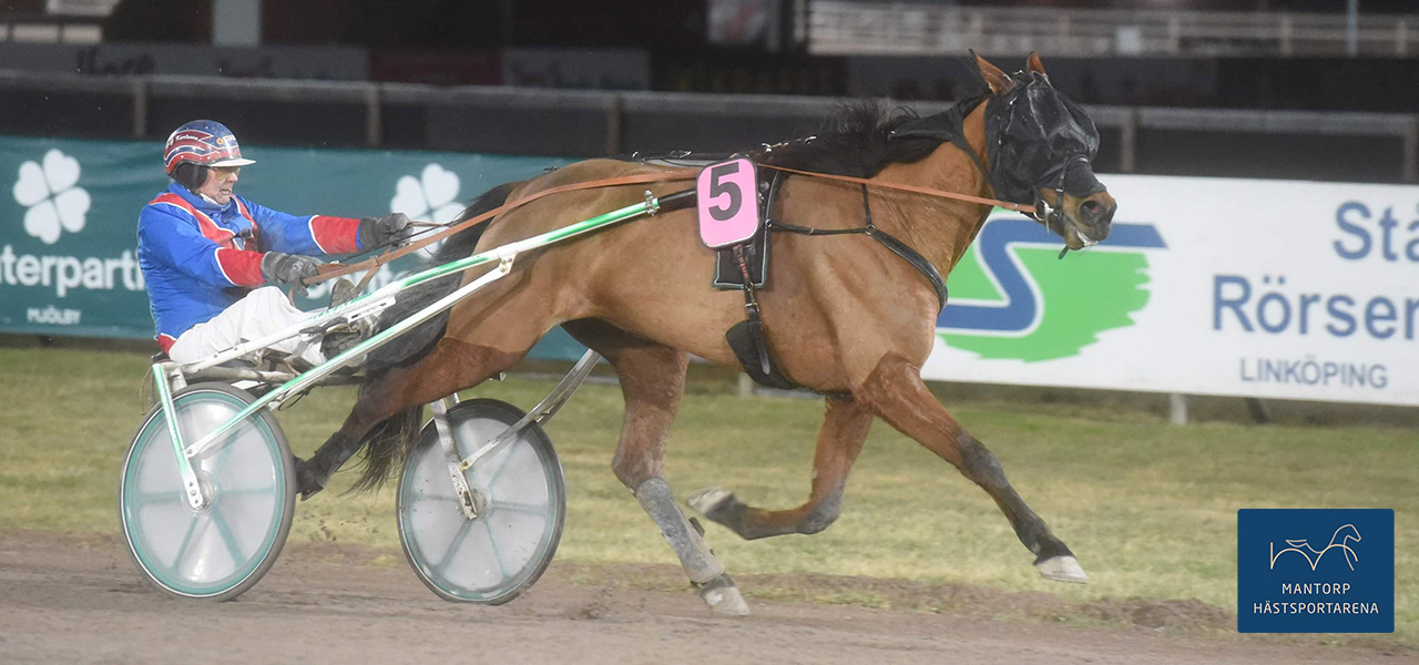 Fredrik Gustafssons Yes Sun har tagit sju segrar tillsammans med Per-Gunnar Karlsson. I söndags vann stoet på Solvalla med Linus Lönn i sulkyn. Foto: Magnus Strömsten. Yes Sun segrade på Solvalla