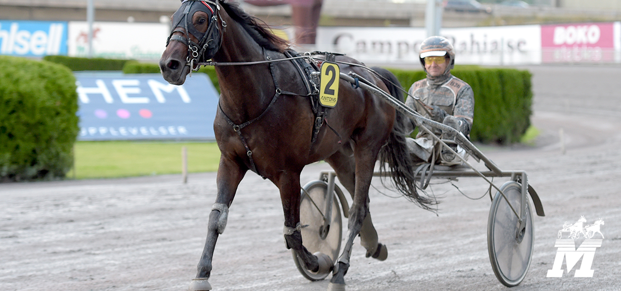 Segrar för Andreas och Jesper