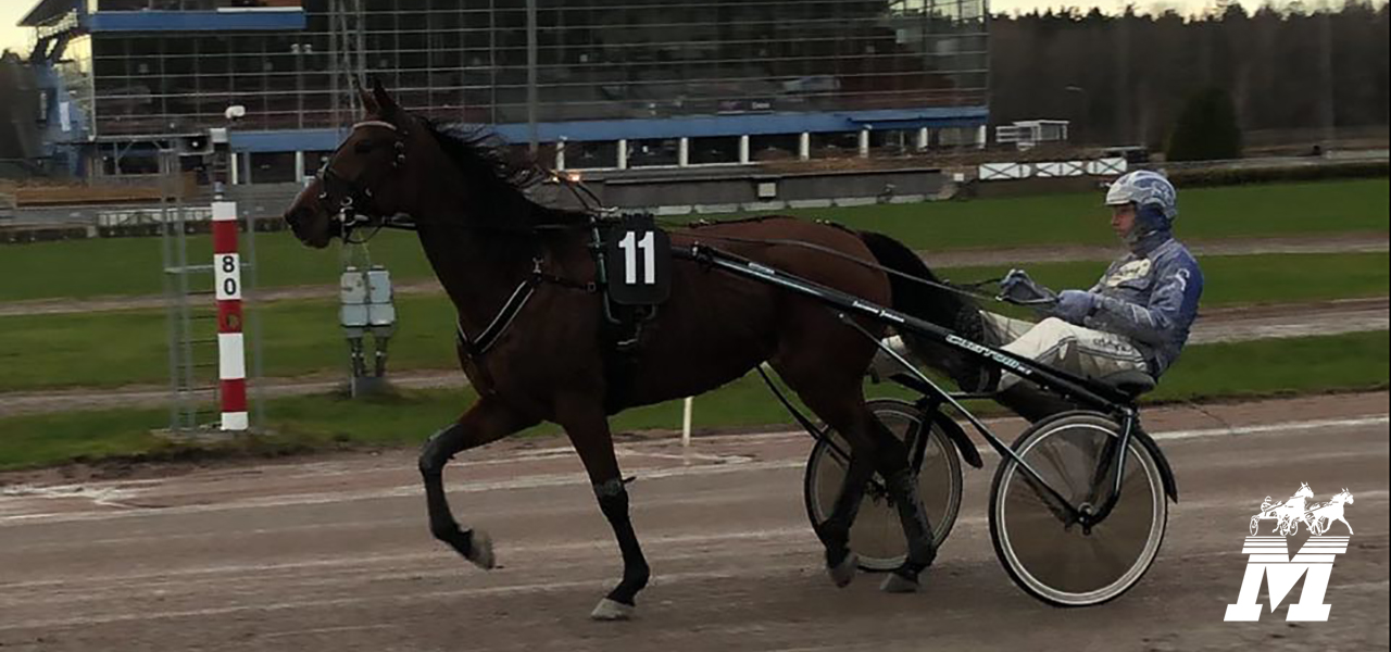 Platinum vann enkelt på Solvalla