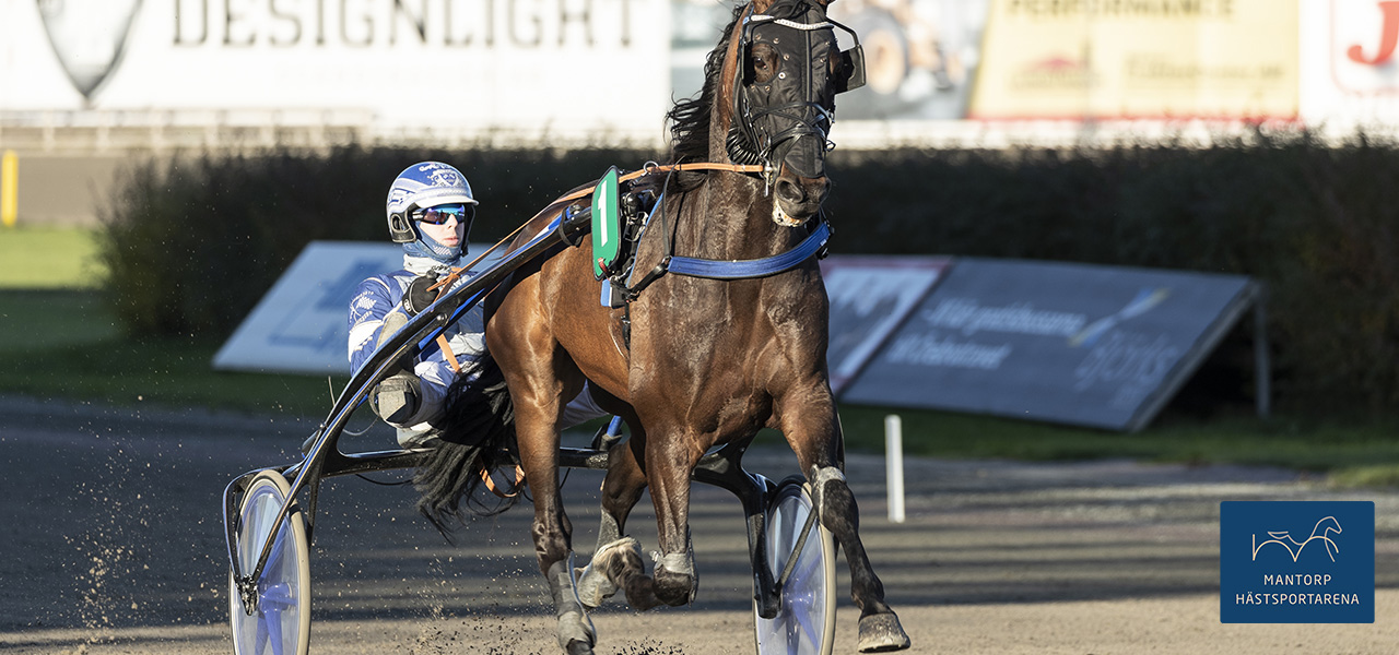 Speedy Cash Vicane och Kim Eriksson i heatbild inför ett tidigare lopp från bricka ett. Foto: Lena Emmoth / TR Bild. Speedy Cash Vicane vann på topptid
