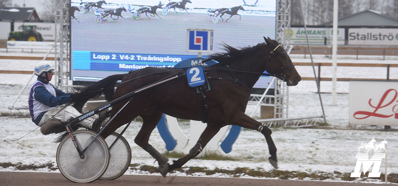 Lars-Erik Nilsson vinner med Julietta Doc, vilket medför att Patricia vann tävlingen.