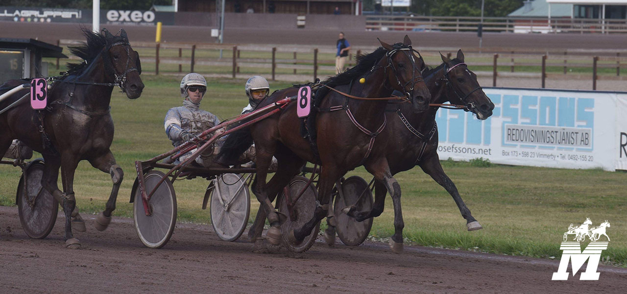 Zinzan Cash vid sitt enda uppträdande på Mantorptravet.